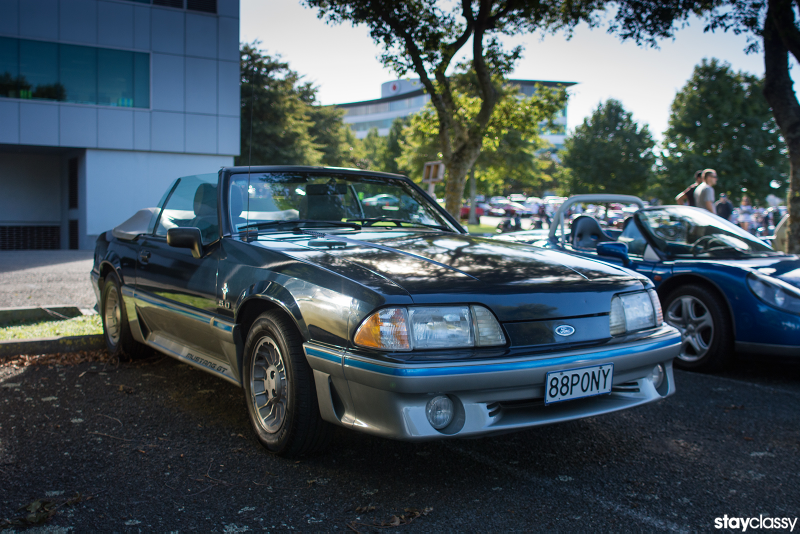 Illustration for article titled New Zealand: Caffeine & Classics Photo Dump